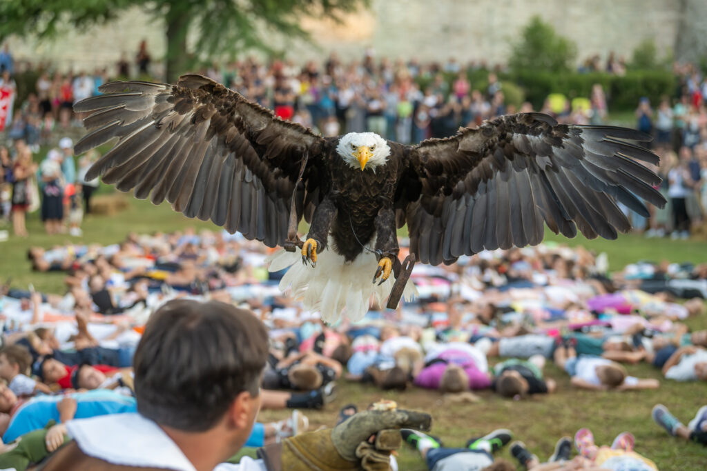 Srednjovjekovni festival u Svetvinčentu - orao Nixon 0202
